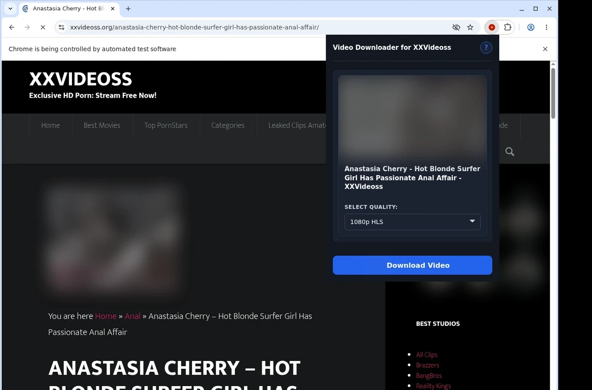 XXVideoss Video Downloader ready state screenshot
