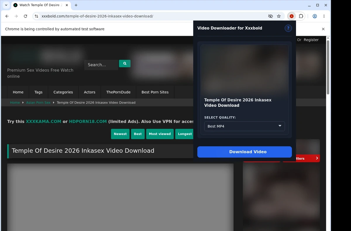 XXXBold Video Downloader ready state screenshot