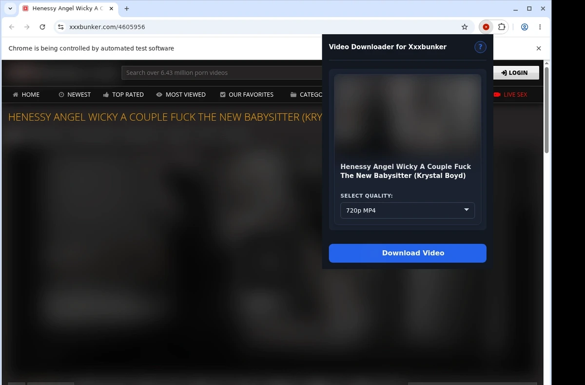 XXXBunker Video Downloader ready state screenshot