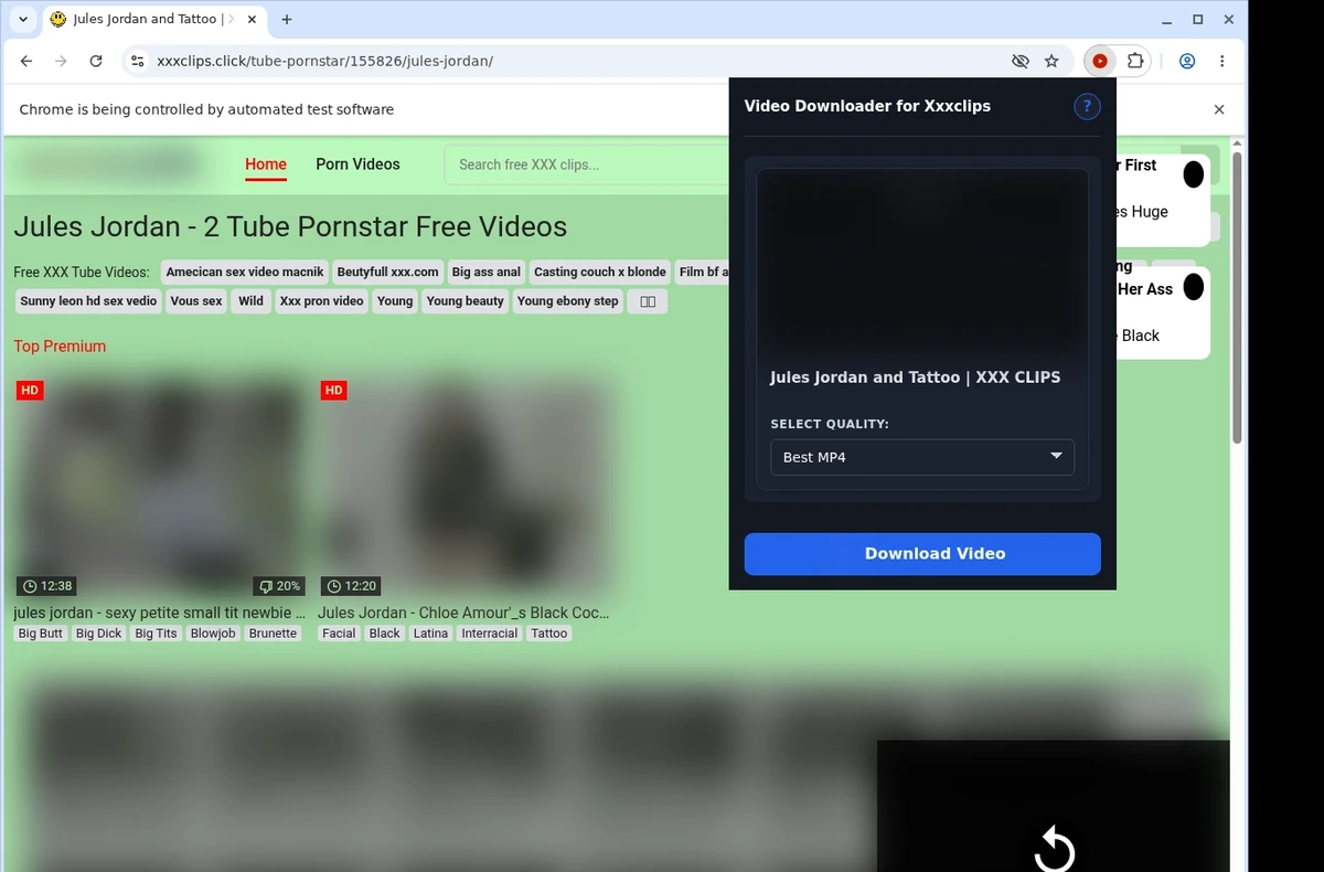 Xxxclips Downloader ready state screenshot