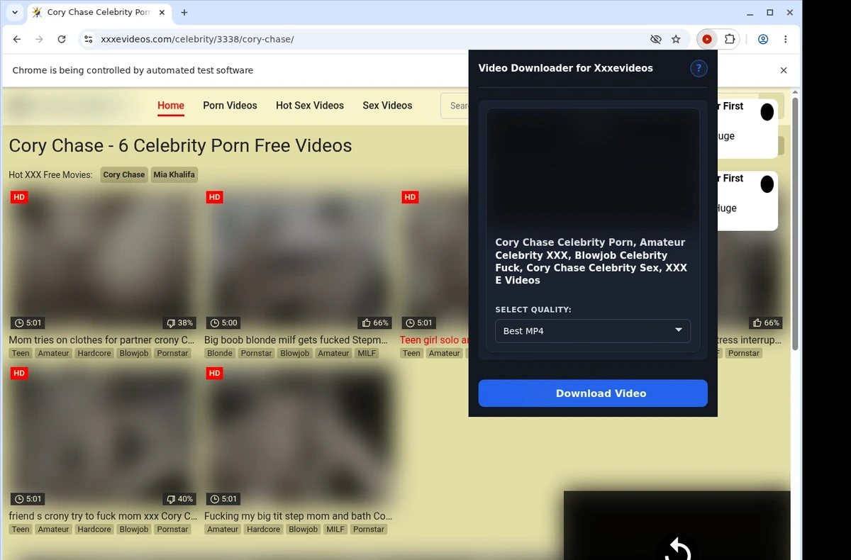 Xxxevideos Video Downloader ready state screenshot