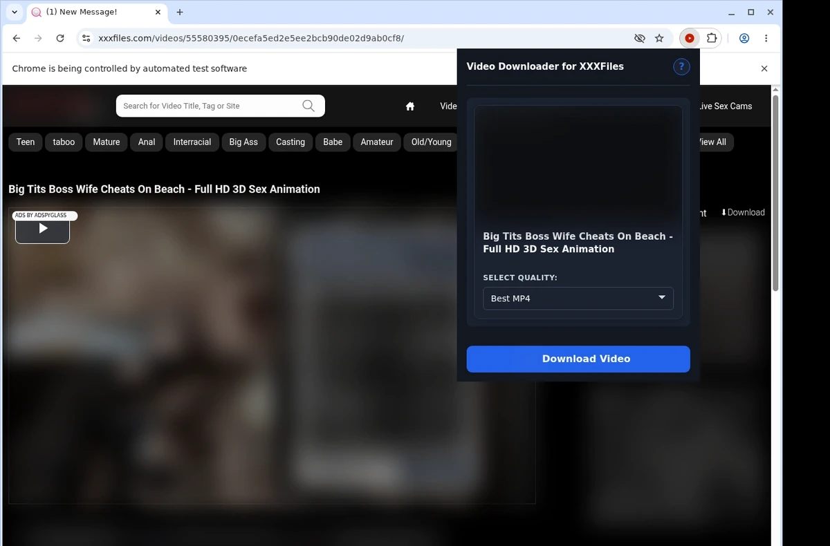 XXXFiles Video Downloader ready state screenshot