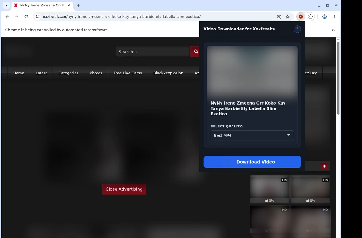 XXXFreaks Video Downloader ready state screenshot
