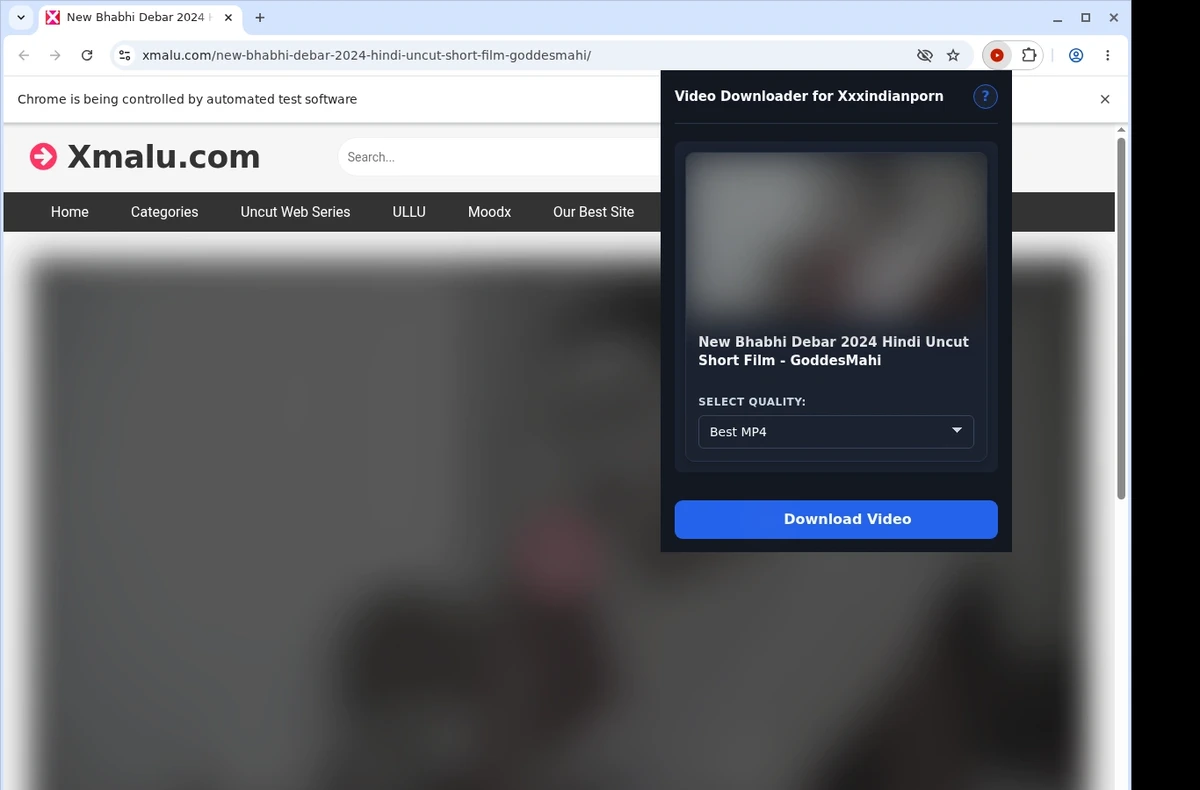 XXXIndianPorn Video Downloader ready state screenshot