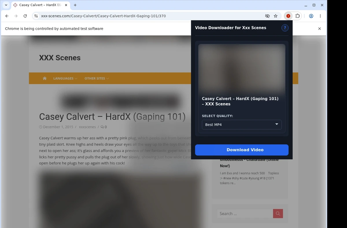 Xxx Scenes Video Downloader ready state screenshot