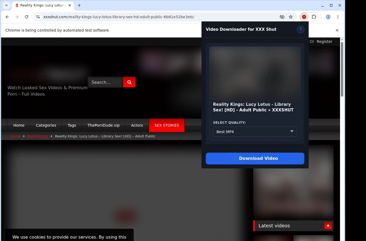 XXX Shut Video Downloader ready state screenshot