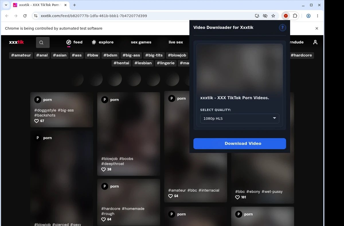 XXXTik Downloader ready state screenshot