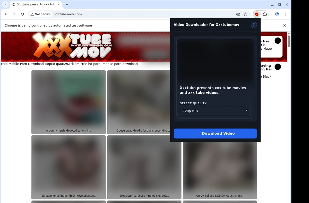 Xxxtubemov Video Downloader ready state screenshot