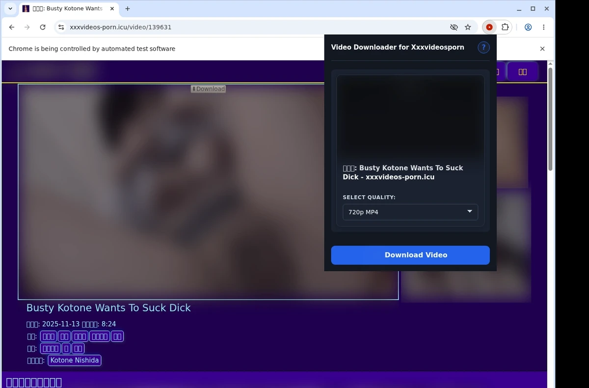 Xxxvideos Porn Video Downloader ready state screenshot