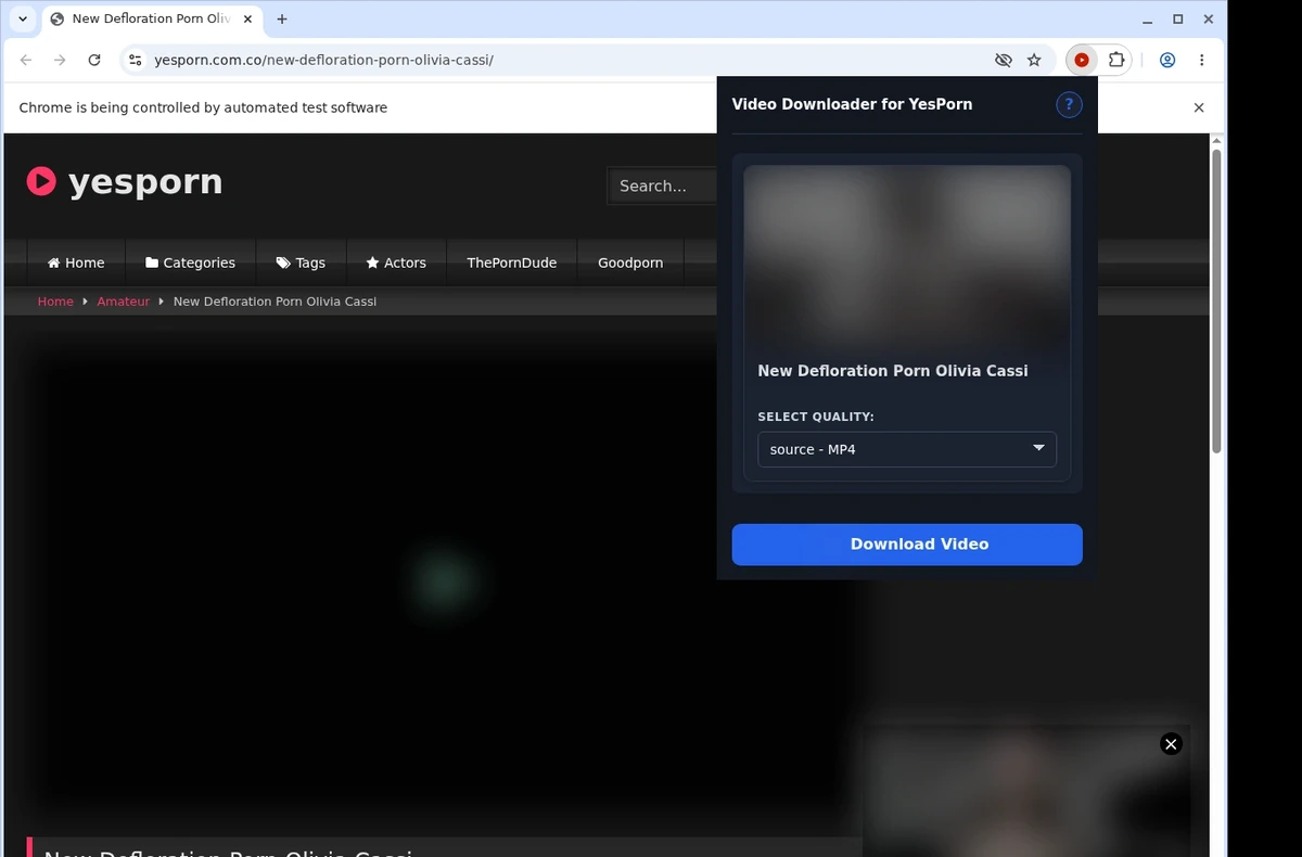 YesPorn Video Downloader ready state screenshot