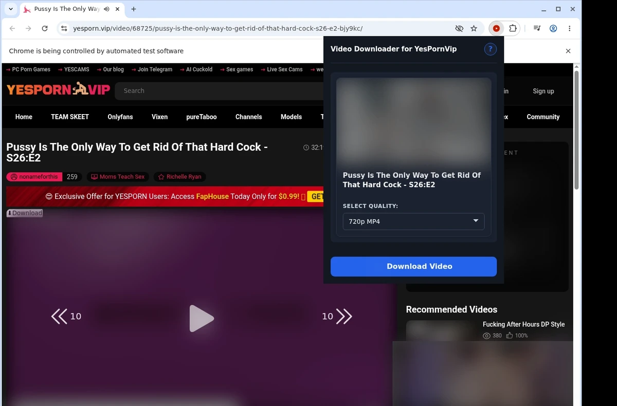 YesPornVip Video Downloader ready state screenshot
