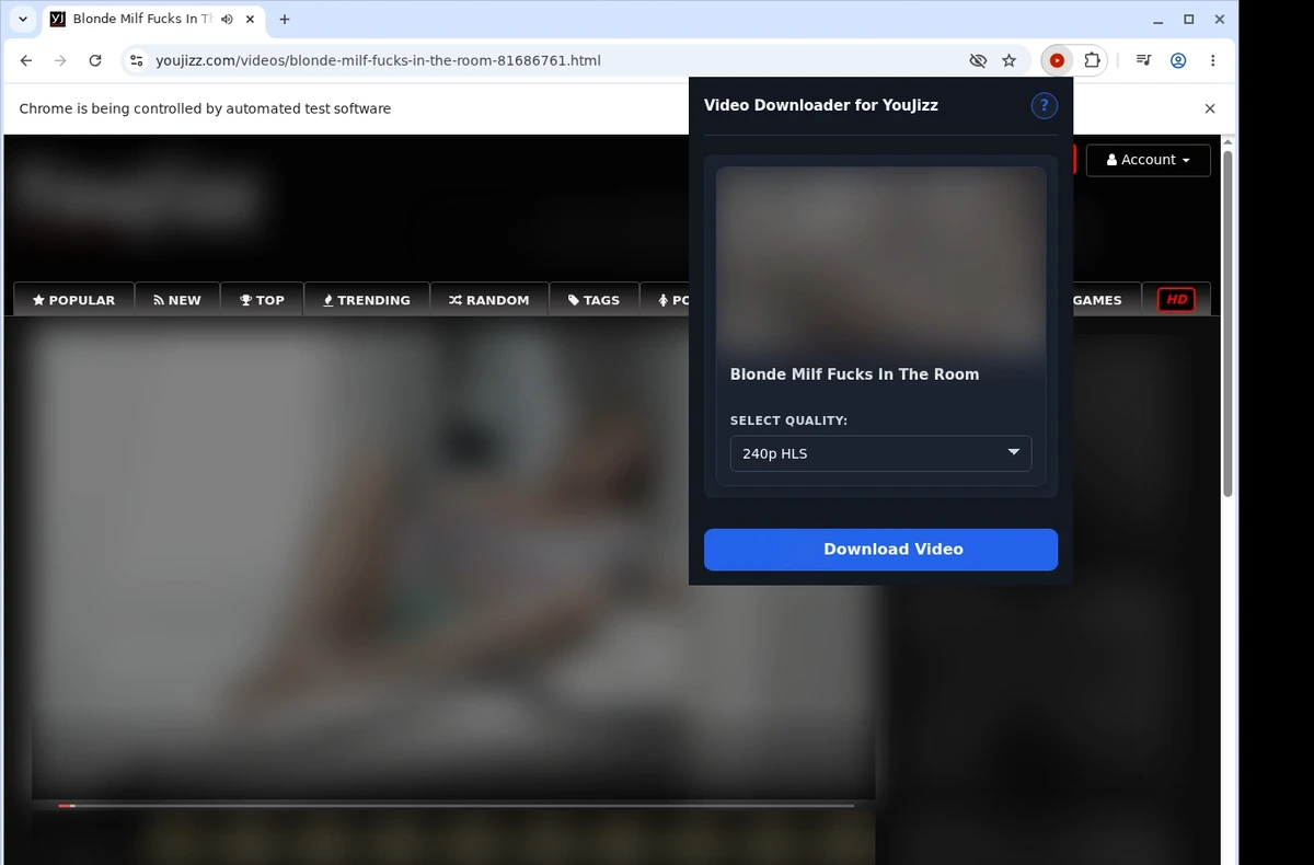 YouJizz Video Downloader ready state screenshot