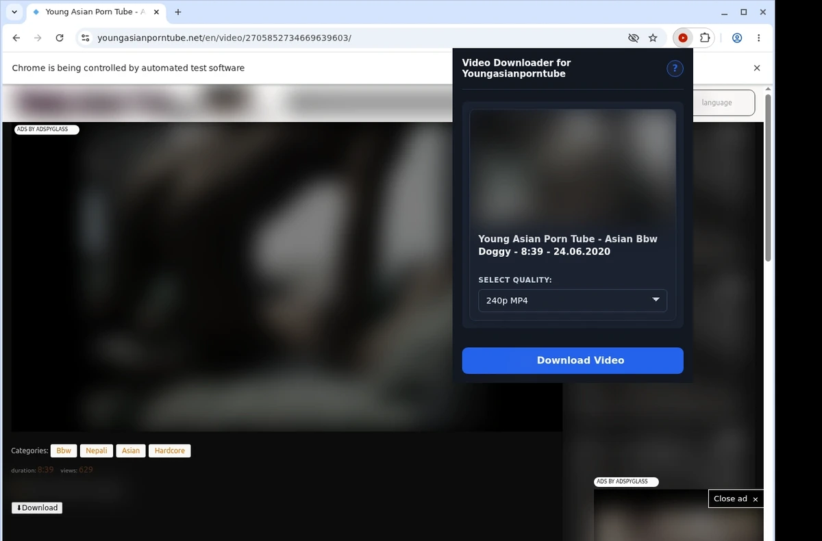 YoungAsianPornTube Video Downloader ready state screenshot