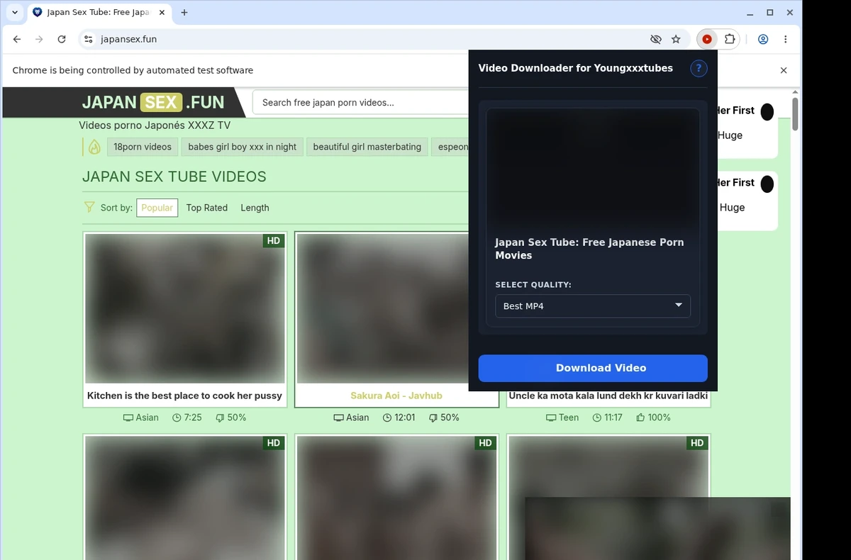 Youngxxxtubes Video Downloader ready state screenshot