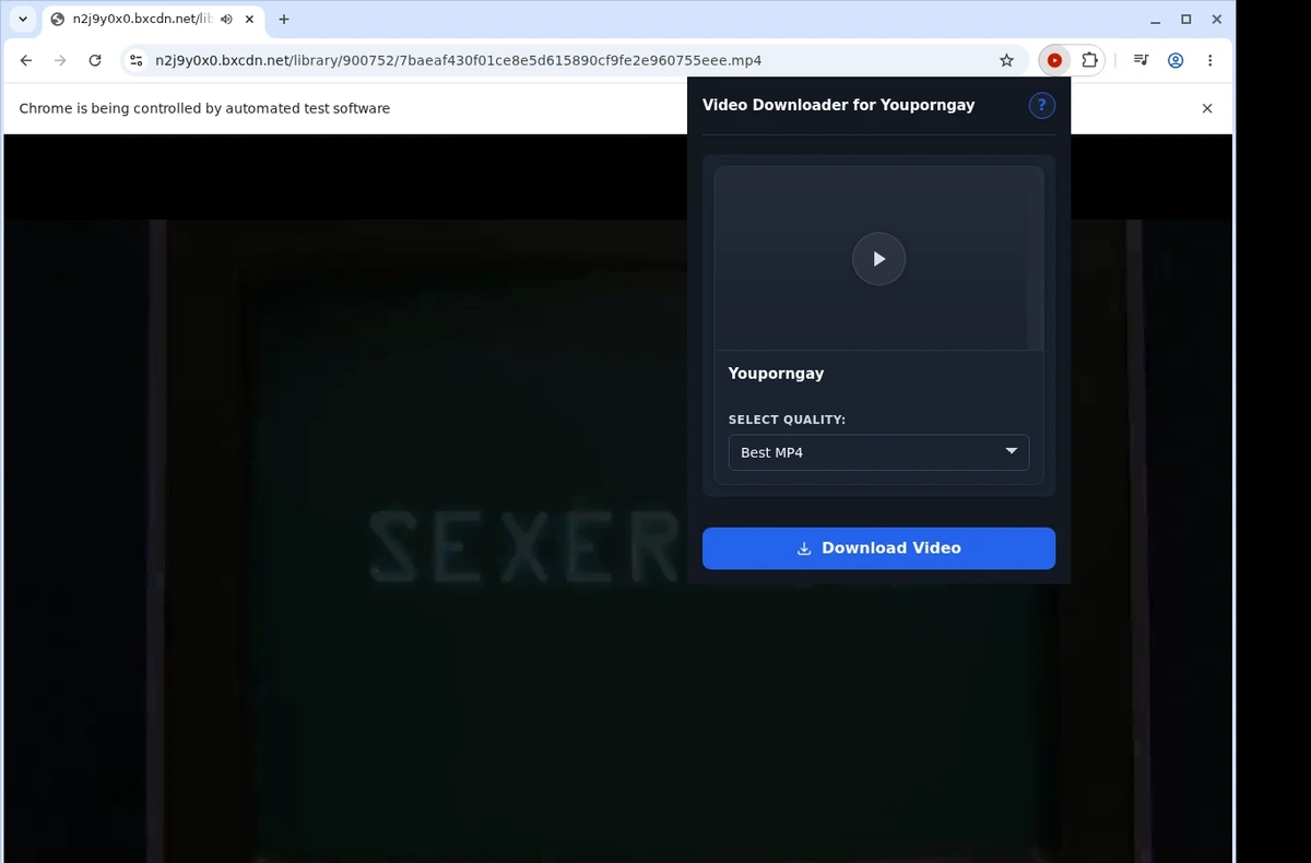 Youporngay Video Downloader ready state screenshot