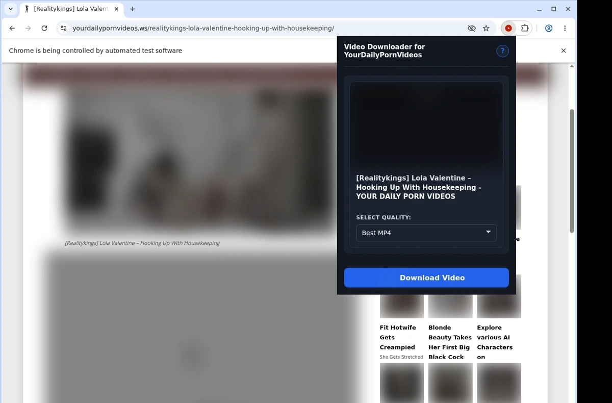 YourDailyPornVideos Video Downloader ready state screenshot