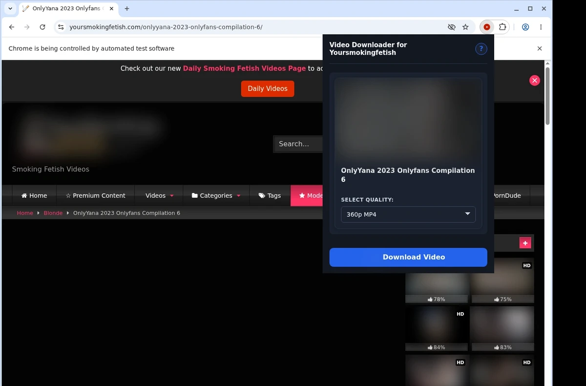 YourSmokingFetish Video Downloader ready state screenshot