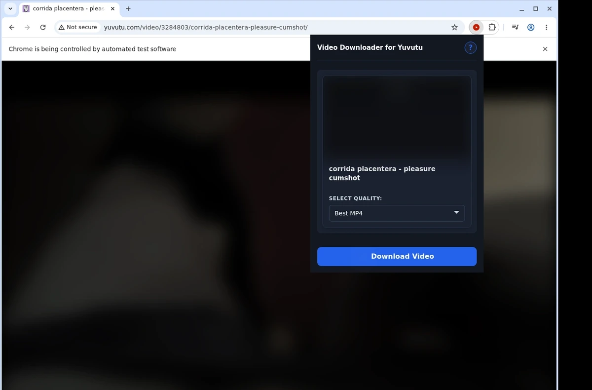 Yuvutu Video Downloader ready state screenshot