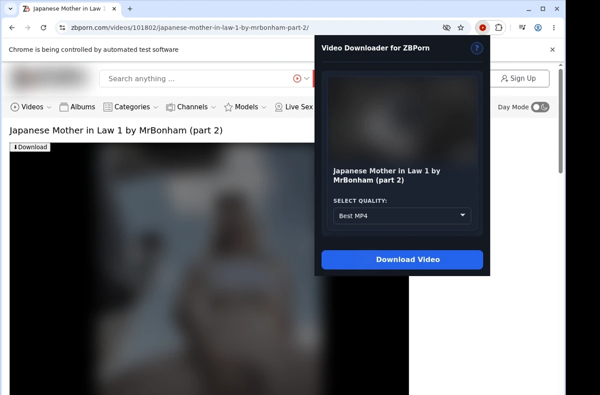 ZBPorn Video Downloader ready state screenshot