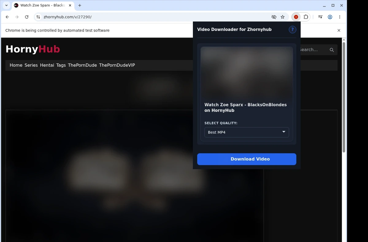 ZHornyHub Video Downloader ready state screenshot