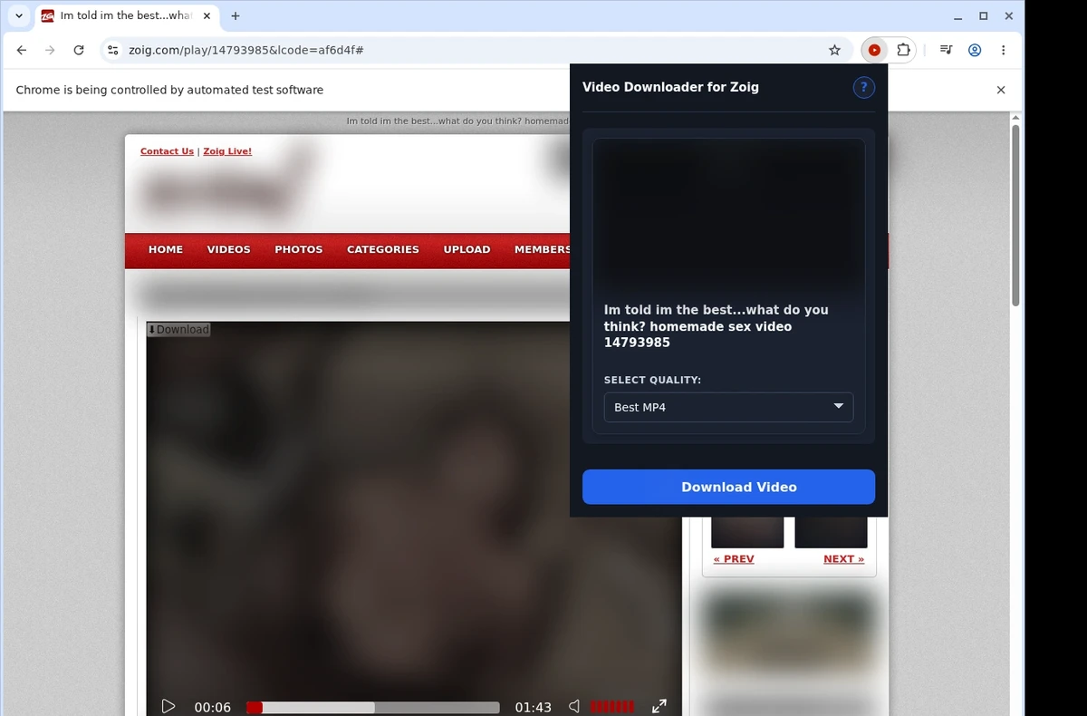 Zoig Video Downloader ready state screenshot