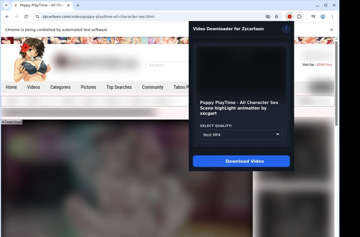 ZZCartoon Video Downloader ready state screenshot