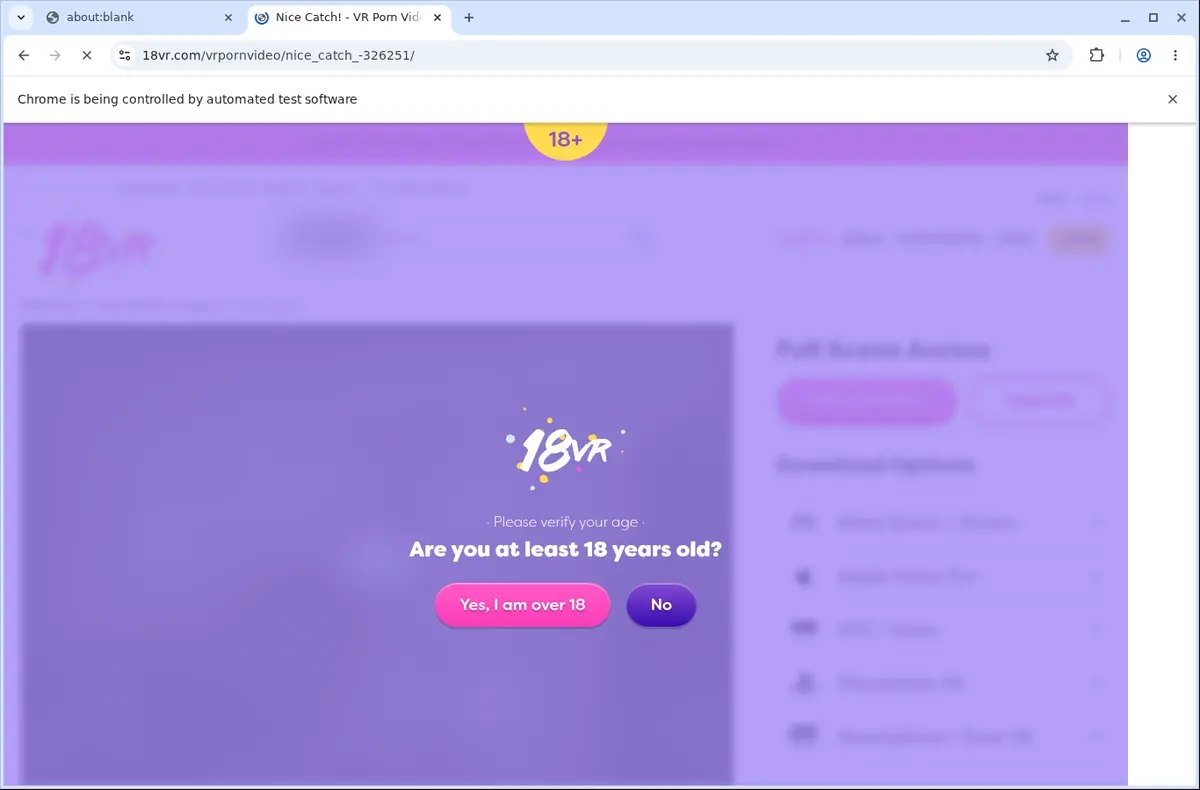 18vr Downloader page open in the browser
