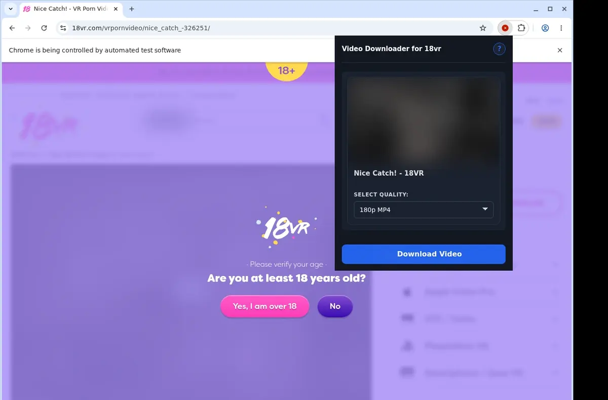 18vr Downloader showing detected media ready to download