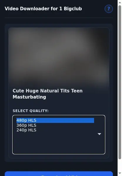 1BigClub Downloader format dropdown options