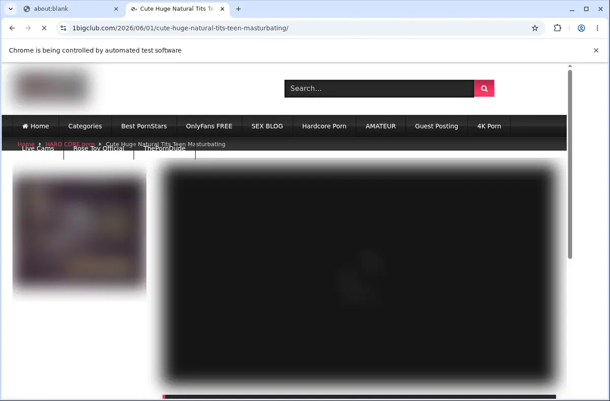 1BigClub Downloader page open in the browser