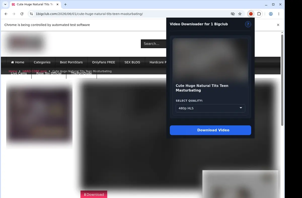 1BigClub Downloader showing detected media ready to download