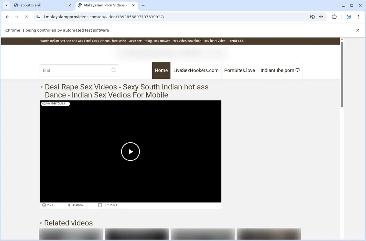 1 MalayalamPornVideos Downloader page open in the browser