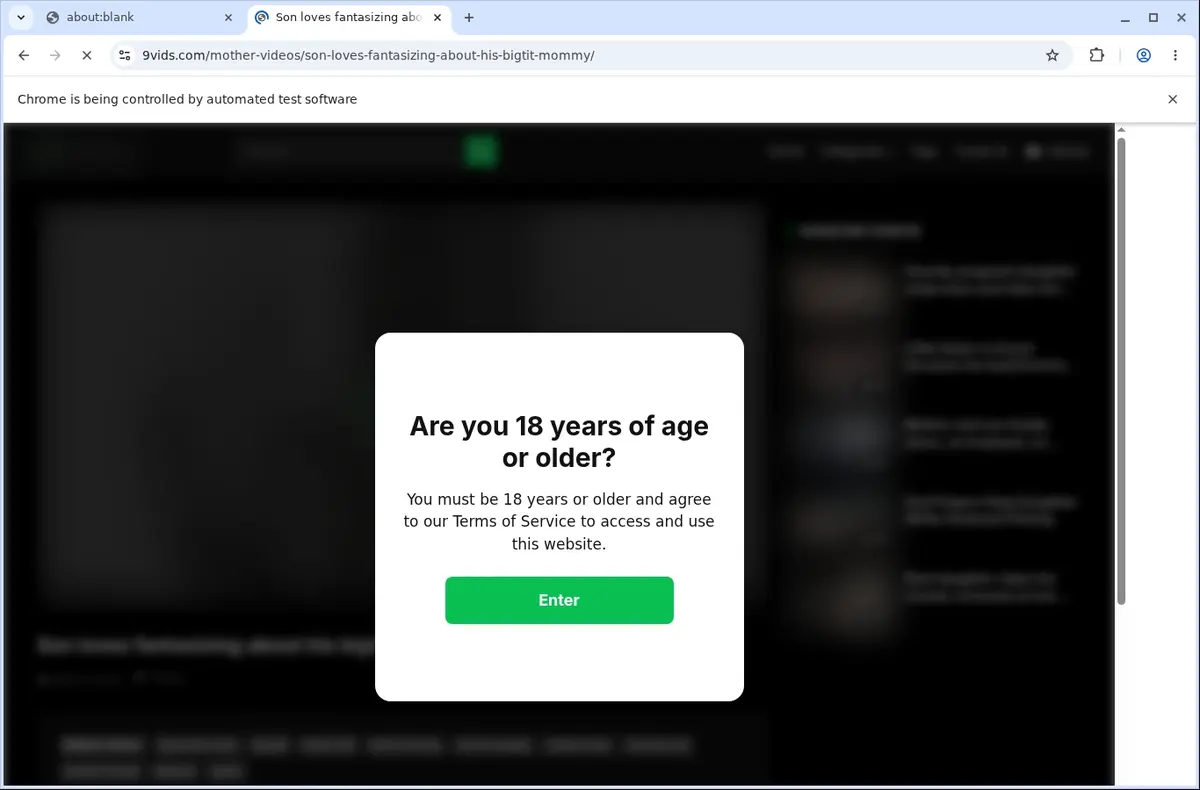 9 Vids Video Downloader page open in the browser