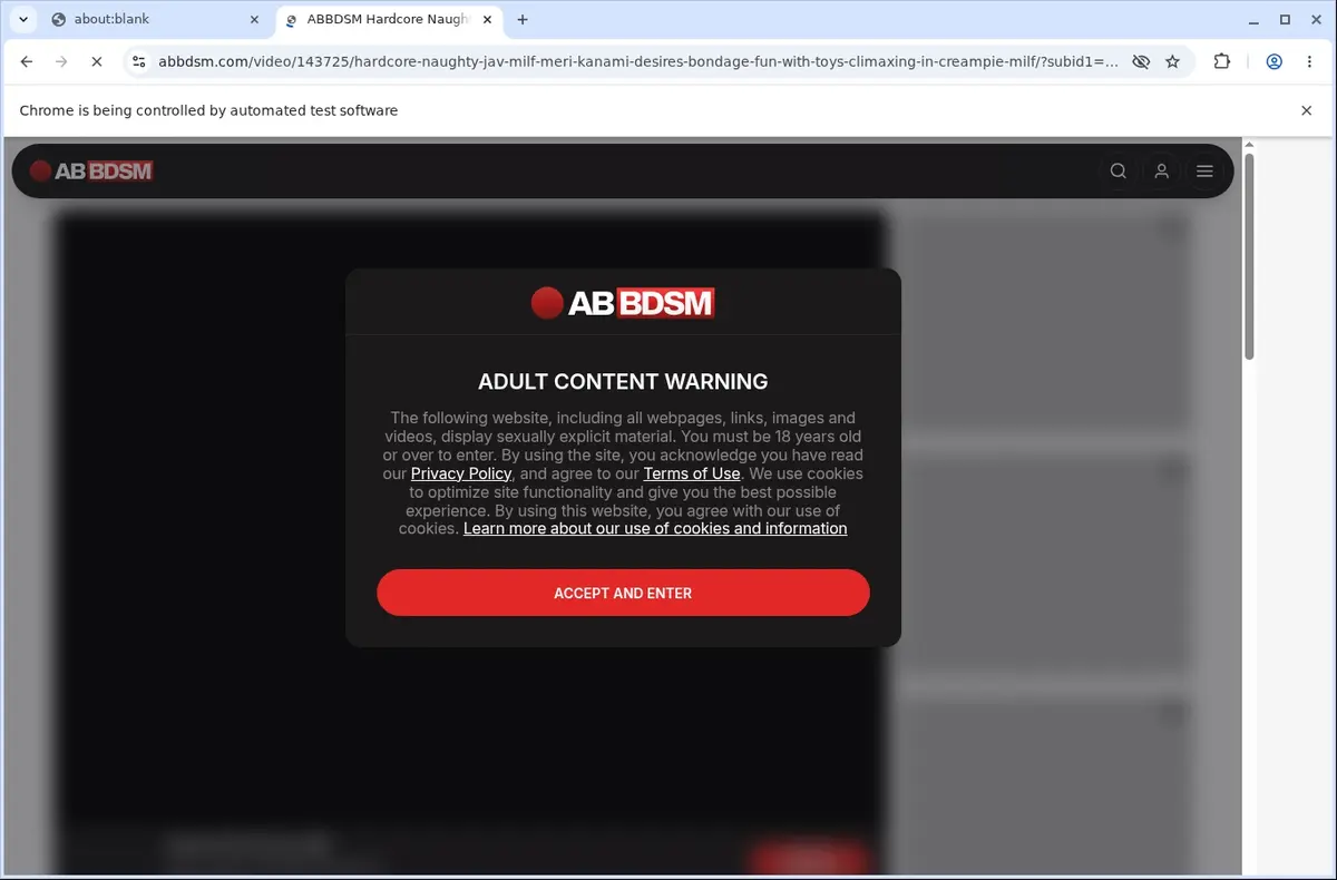 Abbdsm Video Downloader page open in the browser
