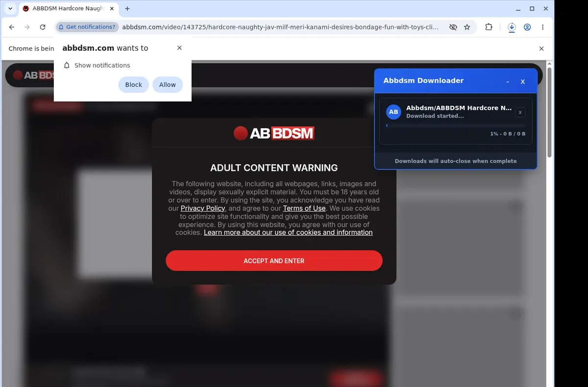 Abbdsm Video Downloader download progress panel