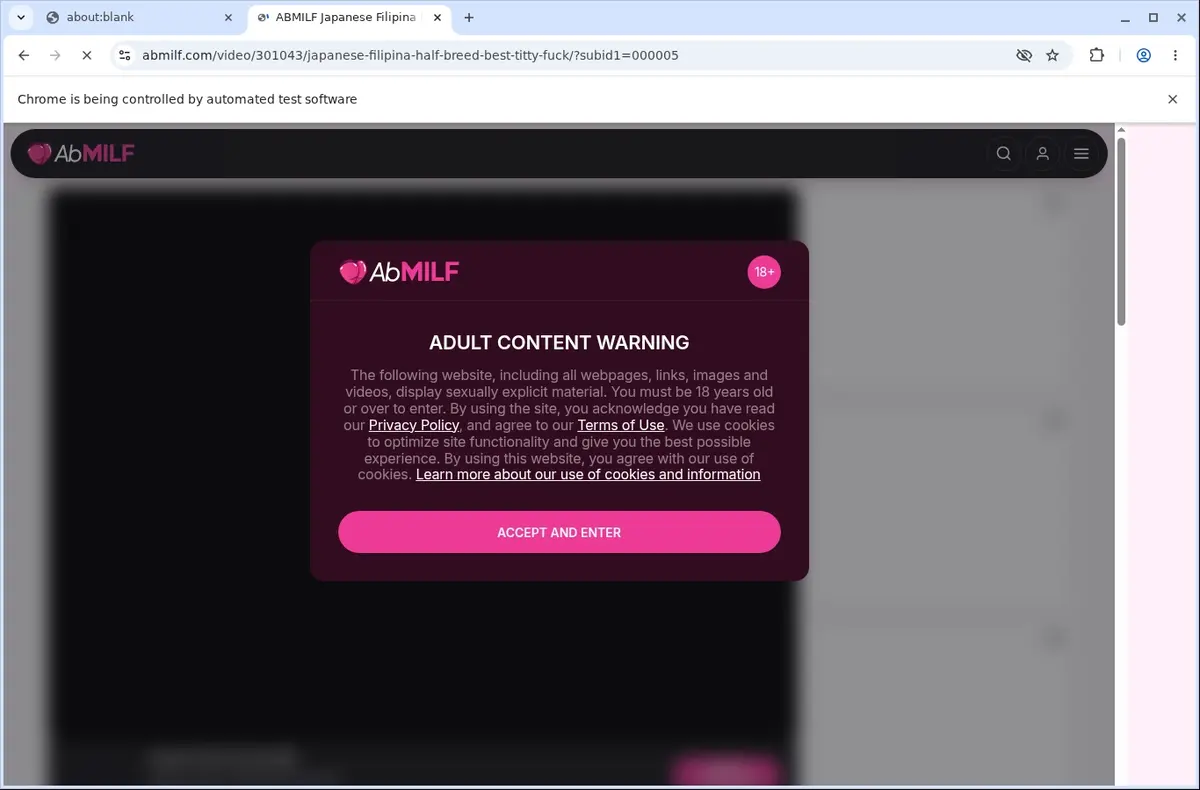 Abmilf Video Downloader page open in the browser