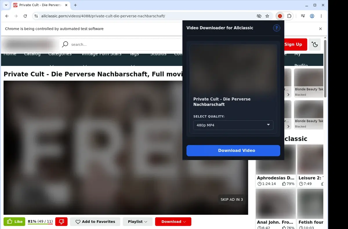 Allclassic Video Downloader showing detected media ready to download
