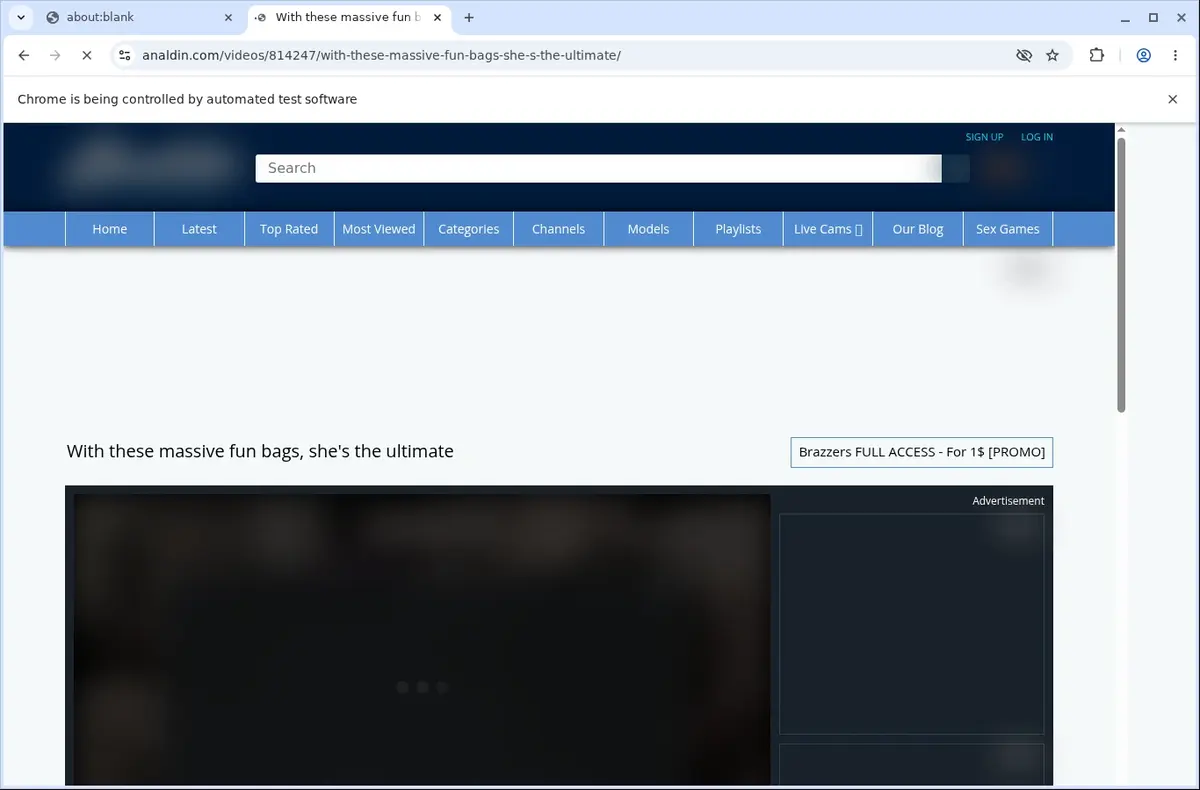Analdin Downloader page open in the browser