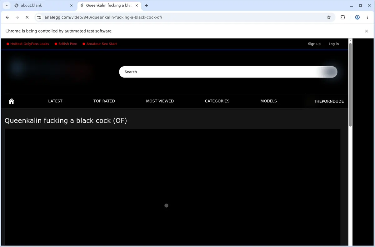 Analegg Video Downloader page open in the browser