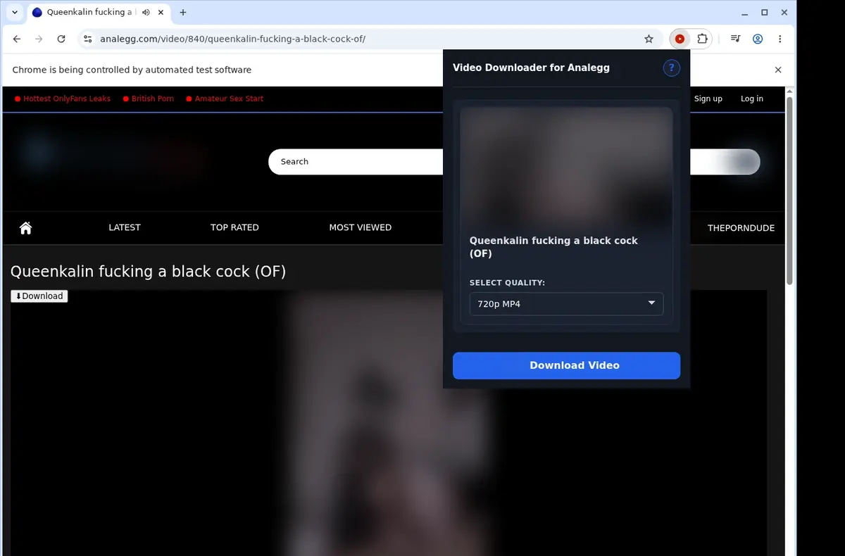 Analegg Video Downloader showing detected media ready to download