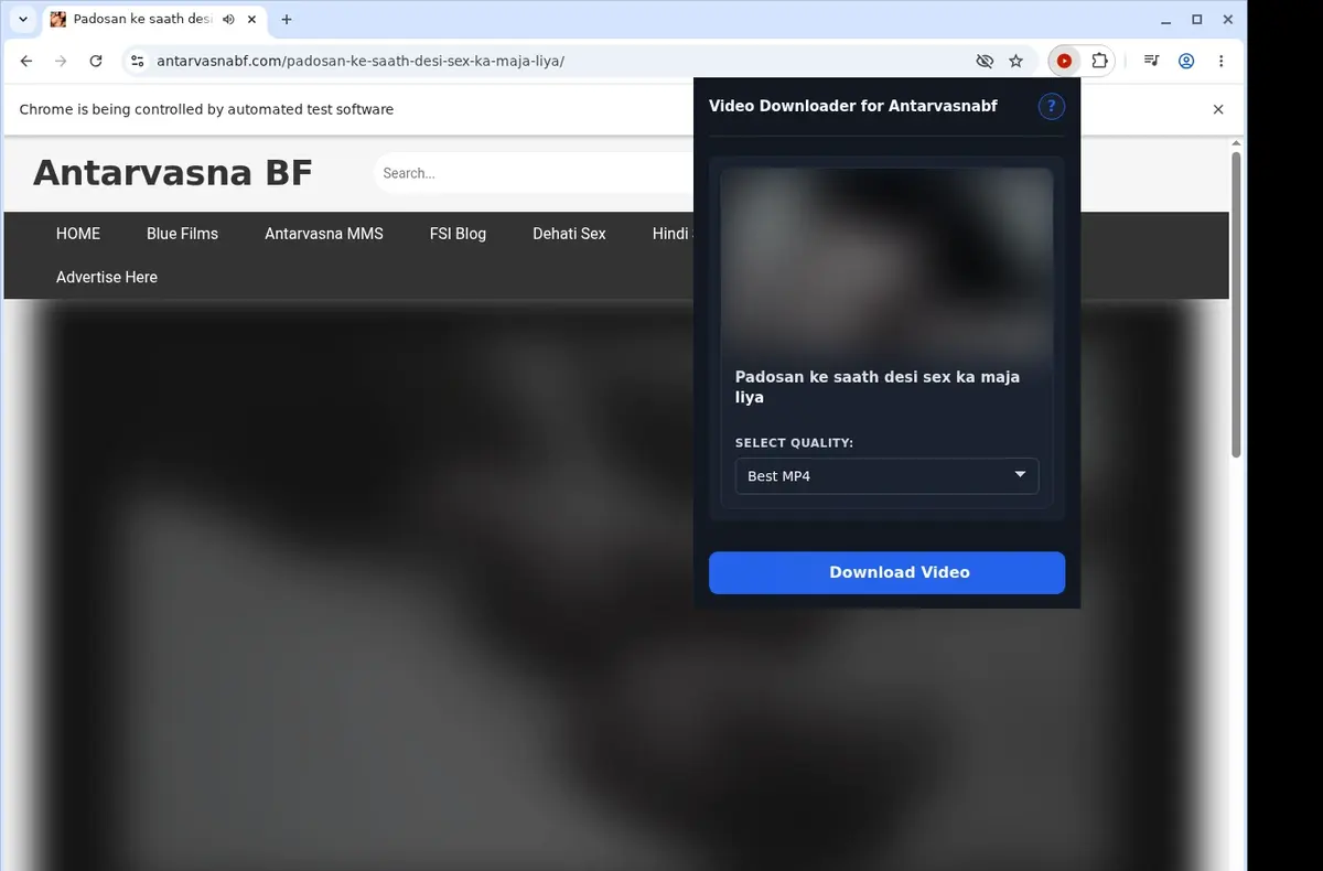 Antarvasnabf Video Downloader showing detected media ready to download