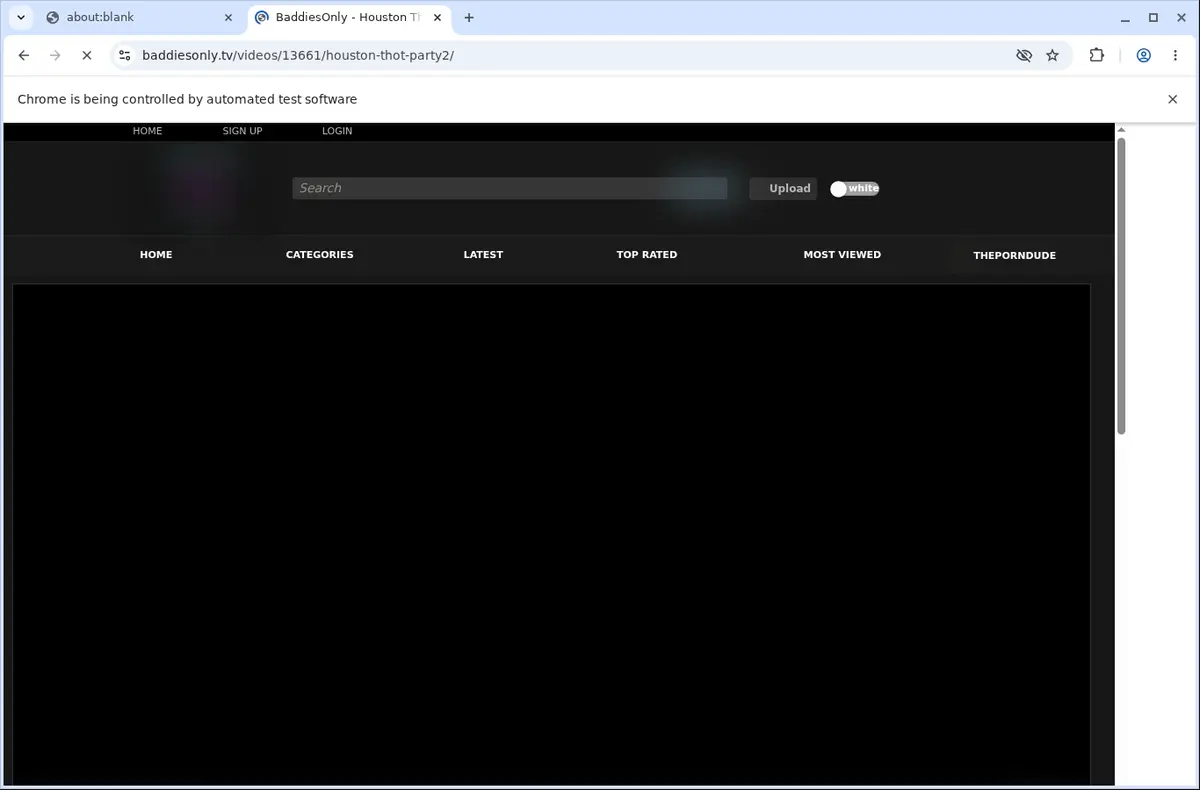 Baddiesonly Downloader page open in the browser
