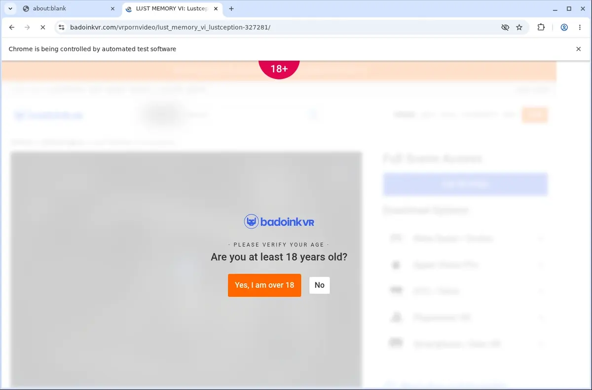 Badoinkvr Video Downloader page open in the browser