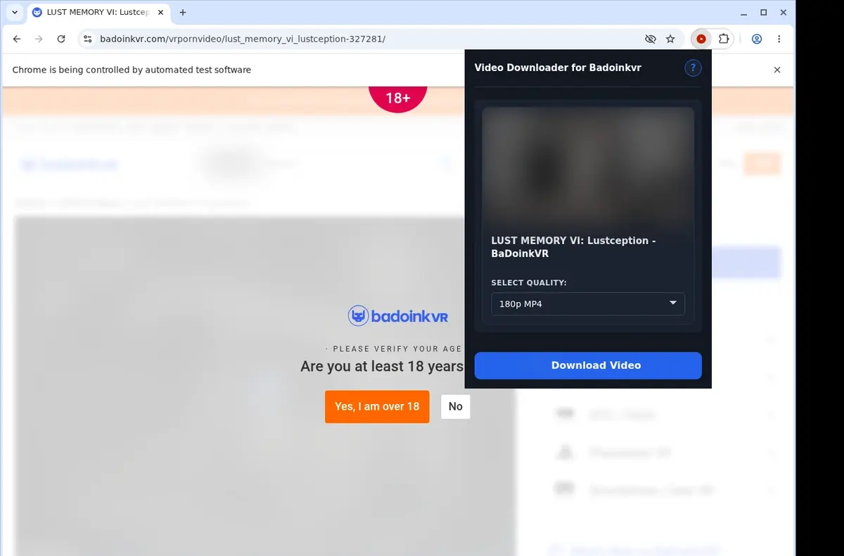 Badoinkvr Video Downloader showing detected media ready to download