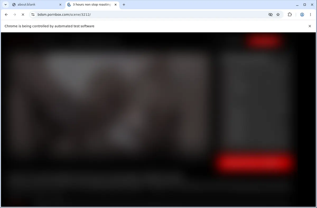 Bdsm Downloader page open in the browser