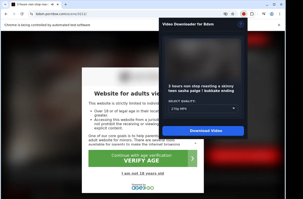 Bdsm Downloader showing detected media ready to download