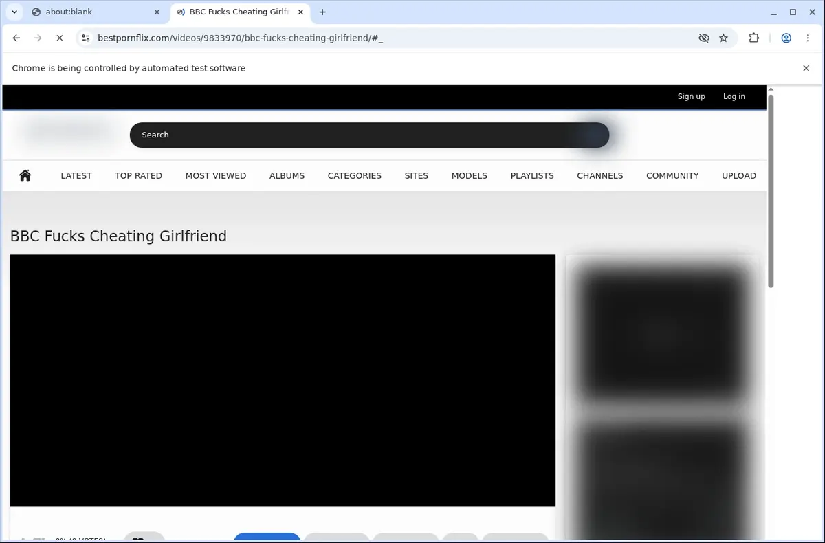 BestPornFlix Downloader page open in the browser