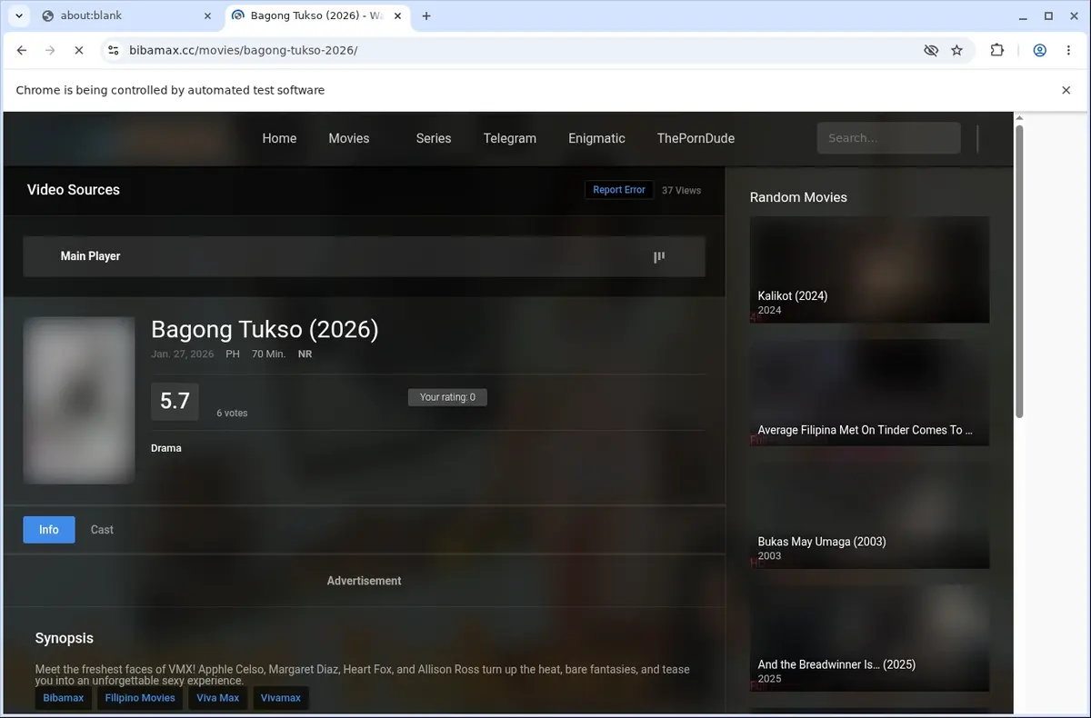 BibaMax Downloader page open in the browser