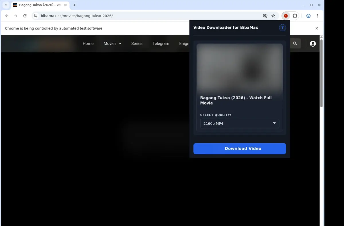 BibaMax Downloader showing detected media ready to download