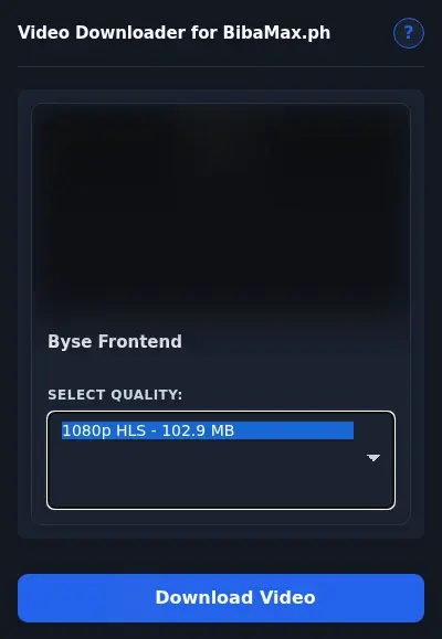 BibaMax.ph Downloader format dropdown options